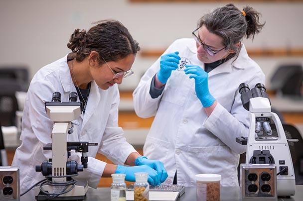 Two researchers examine samples in a lab
